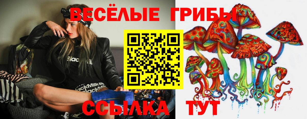 Киреевск  купить наркотики сайты  Псилоцибиновые грибы GOLDEN TEACHER  Вход с VPN  Галлюциногенные грибы Psilocybe 